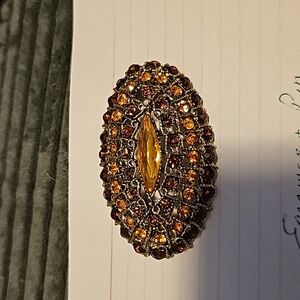 Vintage waist Pin and matching clip on Earrings